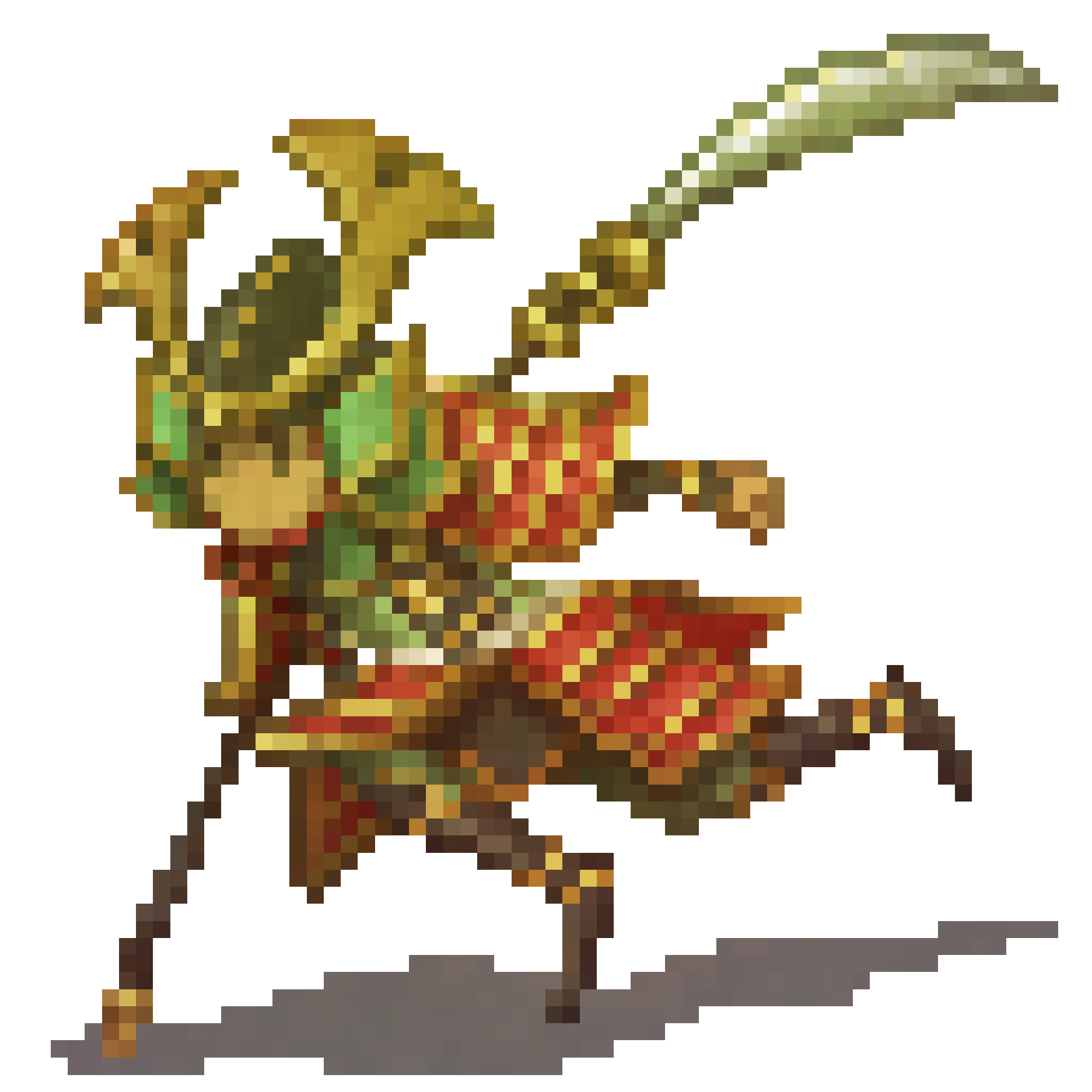 Akupara and its nickname is 海の守り神